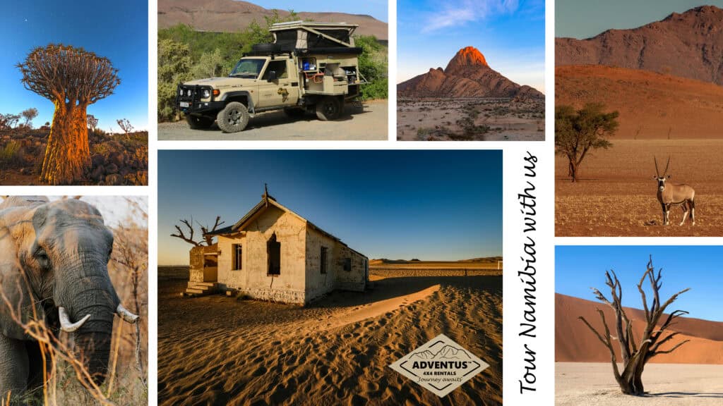 10 Reasons to tour Namibia in an Adventus 4x4: The Ultimate Green-Season Adventure